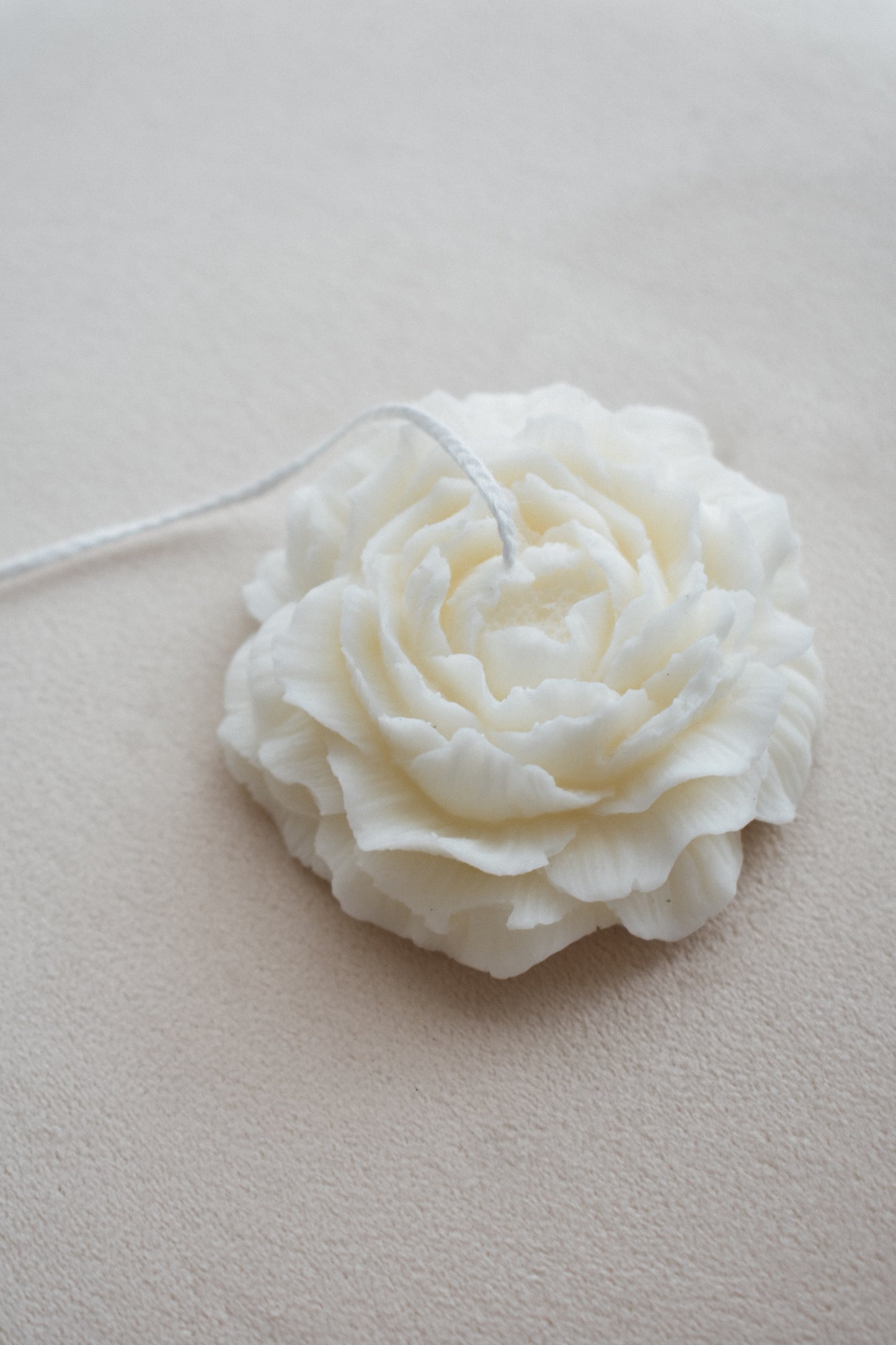 Peonia